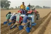  ??  ?? Farmers sow potatoes in Hathras district in Uttar Pradesh