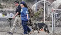  ?? Kin Man Hui / Staff photograph­er ?? A cadaver dog and its handler leave the scene as sheriff ’s deputies investigat­e a property on Holmgreen Road.