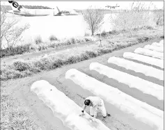  ??  ?? FarmerTaka­o Shito working beside a runway,with his farm having a predictabl­e estimated time of departure.