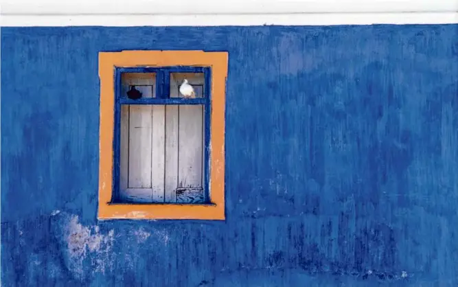  ?? IMAGE COURTESY LUC DEMERS. © JAY MAISEL ?? Top: Jay Maisel, “Blue Wall With Doves.”