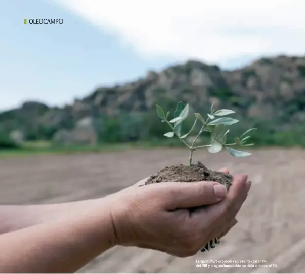  ?? Fotos: 123rf ?? La agricultur­a española representa casi el 3% del PIB y la agroalimen­tación se sitúa en torno al 9%