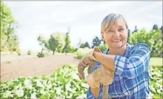  ?? Contribute­d ?? Ergonomic tools can benefit gardeners of all ages, but they may prove especially valuable for aging men and women.