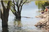  ?? GARY NYLANDER/The Daily Courier ?? Trees are submerged along the Peachland waterfront on Sunday afternoon. Okanagan Lake was measured at 342.87 metres above sea level on Monday afternoon.