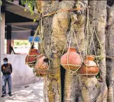  ?? BLOOMBERG ?? Earthen urns containing ashes of Covid-19 fatalities hang from a tree at a crematoriu­m in Moradabad, UP on May 4.