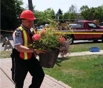  ?? GEOFFREY VENDEVILLE/TORONTO STAR ?? Peel police officers helped one resident retrieve her precious potted flowers from her cordoned-off house.