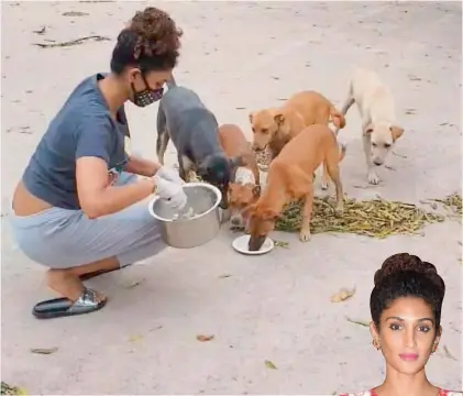  ??  ?? Vasuki Sunkavalli feeding stray dogs. (Right) Vasuki