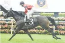  ?? Picture / NZ Racing Desk ?? La Bella Diosa is also eyeing the Australian Oaks.