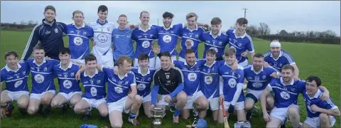  ??  ?? The Oylegate-Glenbrien squad celebrate after winning the Leinster Junior ‘B’ hurling title in Raheenagh, Co. Limerick, on Saturday.