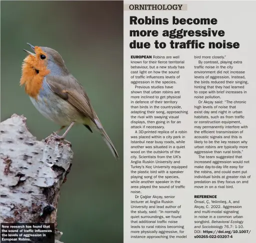  ?? ?? New research has found that the sound of traffic influences the levels of aggression in European Robins.