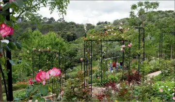  ??  ?? La roseraie du Couloubrie­r, un écrin pour  créateurs de roses… (Photos Gilles Traverso et Paul-Henri Verlooy)