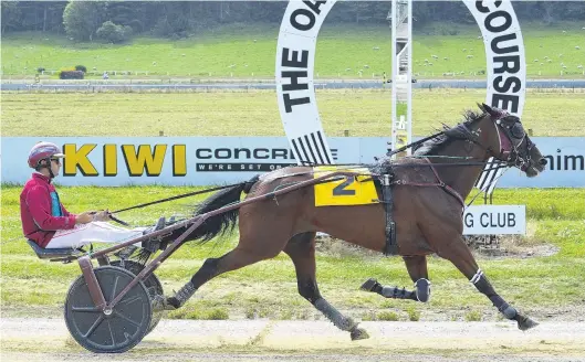  ?? PHOTO: JONNY TURNER ?? Cool customers . . . Red Hot Rocket and trainerdri­ver Gavin Smith win the feature 2600m handicap race at at the Oamaru Racecourse yesterday.