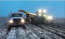  ?? MATTHEW VISSER THE CANADIAN PRESS ?? Farmers work a field near Gibbons, Alta. on Wednesday. Snowfall blanketed parts of the province and more flurries are in the forecast.