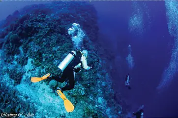  ??  ?? DIVERS dive through the Great Wall, a dive site located in Barangay Tagabebe, in Municipali­ty of Governor Generoso