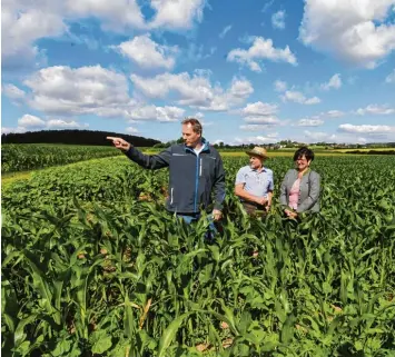  ??  ?? Landwirt Bernhard Jäger aus Gablingen zeigt Kreisobman­n Martin Mayr und Kreisbäuer­in Andrea Mayr seine Maisfelder.