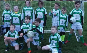  ??  ?? The O Raghallaig­h’s Under-9 squad that took part in the blitz hosted by the Wolfe Tones last week. Teams from O Raghallaig­h’s, St Nicholas, Newtown Blues , Oliver Plunkett’s and Wolfe Tones took part.