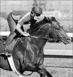  ?? BARBARA D. LIVINGSTON ?? Funny Guy comes into the Say Florida Sandy off two bullet workouts. He has won 4 of his last 5 starts against statebreds.