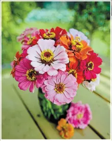  ??  ?? A single packet of zinnia seeds can provide a season of cut flowers for the table.