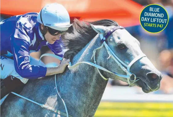  ?? Picture: Picture: GETTY IMAGES ?? Jockey Hugh Bowman piloted D’Argento to an encouragin­g victory at Randwick recently upon the colt’s return from a six-month break.