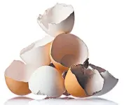  ??  ?? Crushed eggshells can be blended with water to give plants a boost of calcium and magnesium.