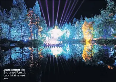  ?? ?? Blaze of light The Enchanted Forest is back this time next year