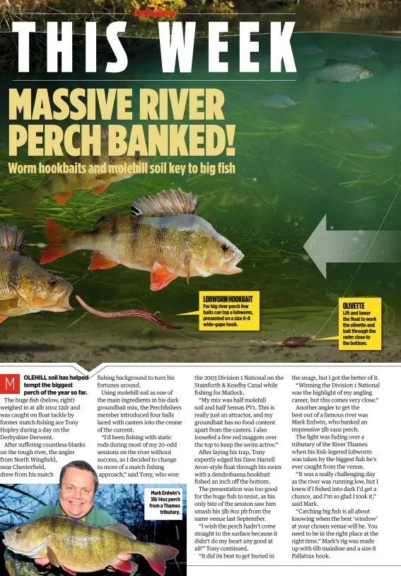 Massive perch! Huge river fish falls to float and worm – try the