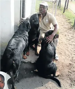  ??  ?? Collin Mthembu, above with the three dogs that mauled his brother Khulekani Mthembu, left, to death in September.