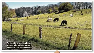  ??  ?? Wo meistens friedlich Kühe grasen, feiern Abiturient­en einmal im Jahr die Ackerfete.