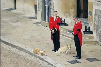  ?? Peter Nicholls Pool Photo ?? THE ROYAL corgis outside St. George’s Chapel, site of the last ceremony in a series of public events commemorat­ing a figure whose life many felt served as the very model of a modern major monarch.