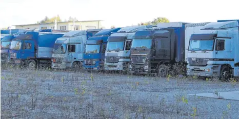  ?? FOTO: HARALD RUPPERT ?? Diese Lastwagen wurden offenbar lange nicht bewegt: Auf dem Gelände des Transportu­nternehmen­s wachsen Bäumchen.