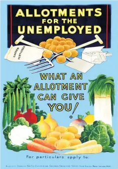  ??  ?? 1930s Poster promoting scheme subsidisin­g allotments for the unemployed