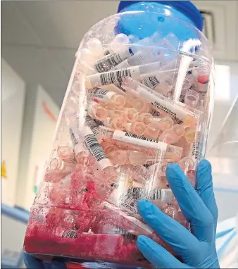  ?? Picture:
Andrew Milligan/pa ?? A scientist holds Covid test samples at the Lighthouse Laboratory at the Queen Elizabeth University Hospital in Glasgow