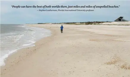  ?? WILLIAM KRONHOLM/AP ?? Miles of empty beach and billions of sea shells await a lone beachcombe­r at St. George Island State Park near Apalachico­la in the Florida Panhandle in 2007.