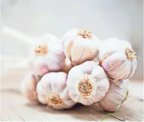  ?? GETTY IMAGES ?? Garlic is a species in the onion genus and is closely related to onions, shallots, leeks and cloves.