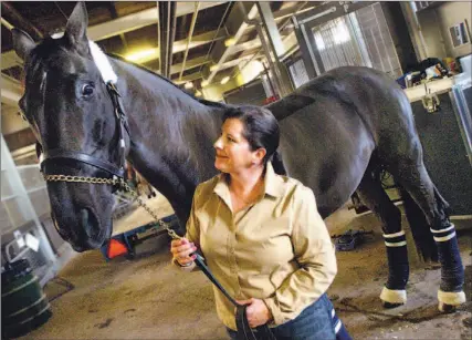  ?? VINCE TALOTTA/TORONTO STAR ?? Cindy Ishoy and Proton are at the Royal Winter Fair this week, competing for a spot in next year’s World Cup dressage final in Amsterdam.
