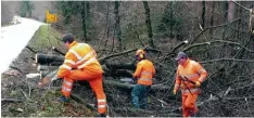  ?? Archivfoto: Marcus Merk ?? Tagelang dauerten die Aufräumarb­eiten nach dem orkanartig­en Sturm Kyrill, der im Januar 2007 für große Schäden gesorgt hatte.