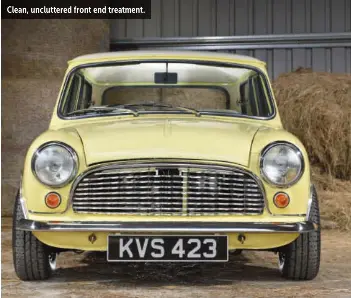 Jaguar mini 271