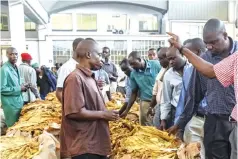  ??  ?? Stanbic Bank is geared to serve the banking needs of tobacco farmers countrywid­e following the decentrali­sation of auction floors due to Covid-19