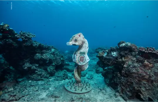  ?? ?? BELOW
The world’s deepest underwater mailbox at Green Island
RIGHT
A school of colourful parrotfish