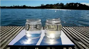  ?? KELLY HODEL/STUFF ?? Comparing tap water, left, to water drawn from the edge of Lake Rotoroa near the Hamilton Yacht Club.