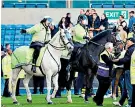  ??  ?? Horse power: Mounted police try to restore order at the Den on Saturday