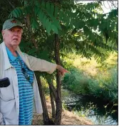  ?? ?? Rusty Cohn points July 19 to Napa Creek, where he says he frequently sees beavers.