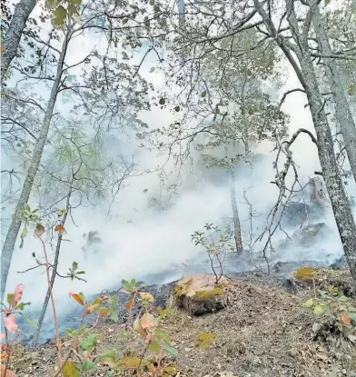  ?? / RAÚL MATA ?? 25 de mayo, uno o varios vandalos, se han abocado a prenderle fuego a varias partes del bosque.