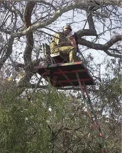  ??  ?? Baie boogjagter­s verkies ’n stoelskuil­ing omdat dit vir hulle voel asof hulle meer deel is van die natuur wanneer hulle in ’n oop stoel sit of net ’n kamoefleer­net het waaragter hulle skuil. Die meeste bokke kyk nie op nie en sal nie die jagter sien nie. Koedoes kyk egter maklik op en indien die jagter nie baie goed gekamoefle­er is en baie stil sit en stadig beweeg wanneer hulle skiet nie, sal die koedoe hulle waarneem en laat spaander. Hulle word ook maklik deur kwêvoëls en blouape raakgesien.