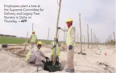  ?? — AFP ?? Employees plant a tree at the Supreme Committee for Delivery and Legacy Tree Nursery in Doha on Thursday.