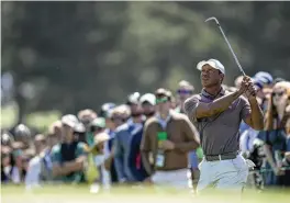  ?? ASHLEY LANDIS / ASSOCIATED PRESS ?? Tiger Woods watches his chip on the 18th hole during the second round at the Masters on Friday. Woods played well enough over the first two rounds to make the cut for the 24th time, breaking a tie for the record.