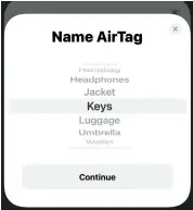  ??  ?? Apple gives you a number of preset labels to name your item, or a custom option.