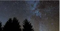  ??  ?? Left to right: A muntjac deer gains confidence to step out in the open during the quieter hours of darkness; a wild rabbit in the undergrowt­h; the Milky Way visible above the trees.