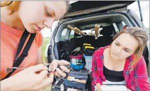  ?? CP PHOTO ?? Taylor Brown, left, and Megan Wilcox, both Research Technician at Bird Studies Canada take measuremen­ts and tag a young Barn Swallow in Townsend, Ont..