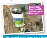  ??  ?? Remin Rock Dust is said to protect against club root