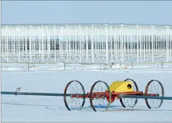  ?? NEWS PHOTO COLLIN GALLANT ?? The structure for a six-acre expansion at the Sunshine Growers facility near Medicine Hat is seen from Range Road 63. The project is one of several major projects that could add a total of more than 1.5 million square feet of vegetable production space over several years.